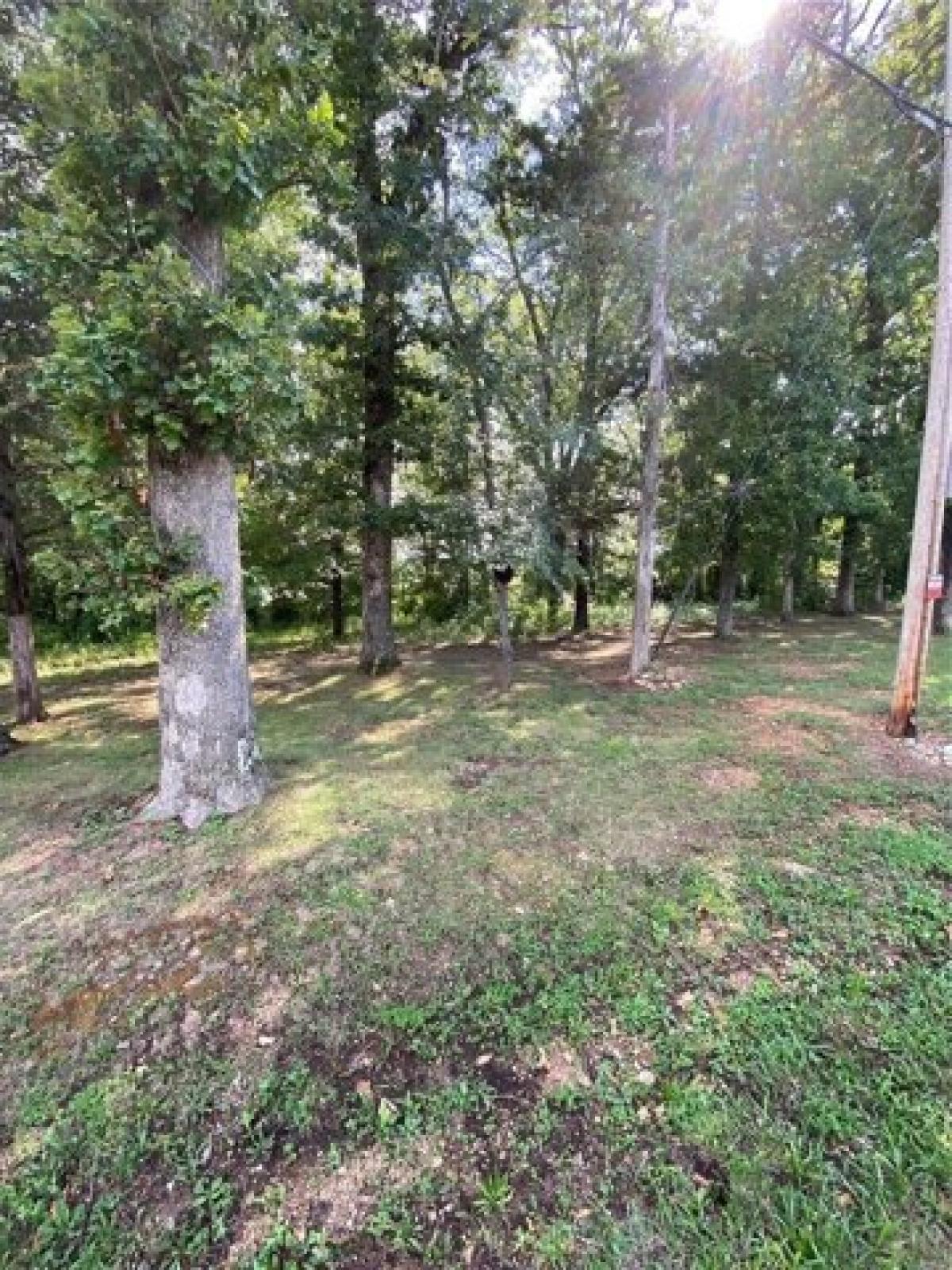 Picture of Residential Land For Sale in Steelville, Missouri, United States