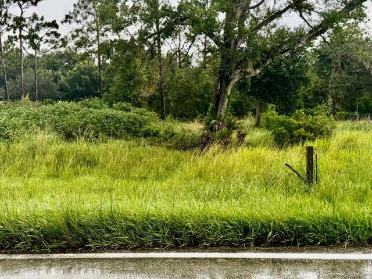 Picture of Residential Land For Sale in Venus, Florida, United States