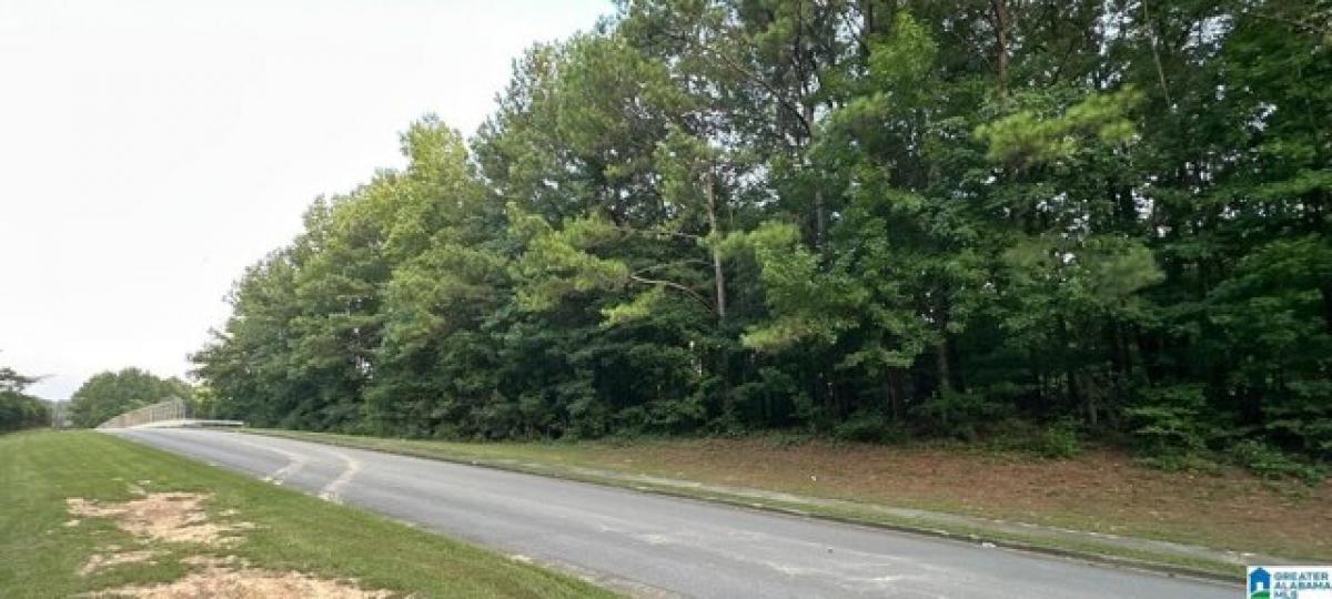 Picture of Residential Land For Sale in Fultondale, Alabama, United States