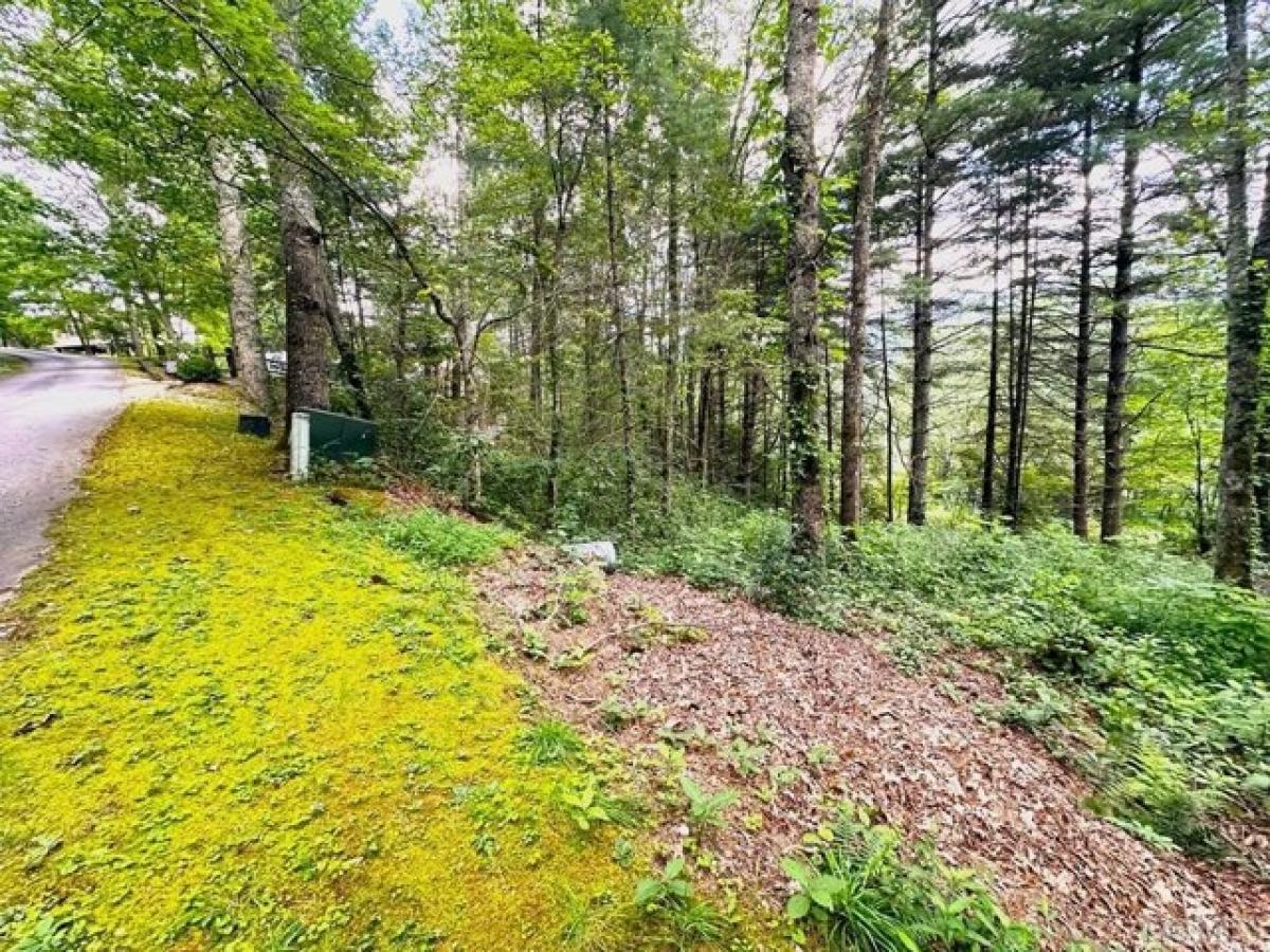 Picture of Residential Land For Sale in Cullowhee, North Carolina, United States