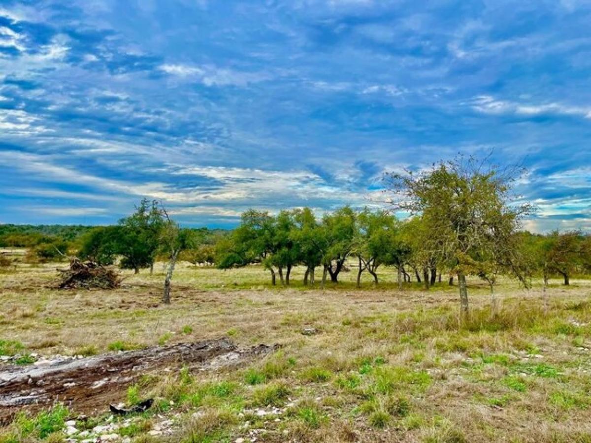 Picture of Residential Land For Sale in Harper, Texas, United States