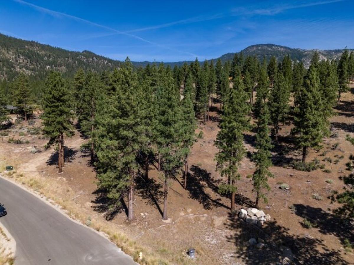 Picture of Residential Land For Sale in Carson City, Nevada, United States