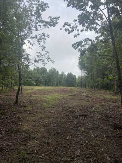 Residential Land For Sale in Linden, Tennessee