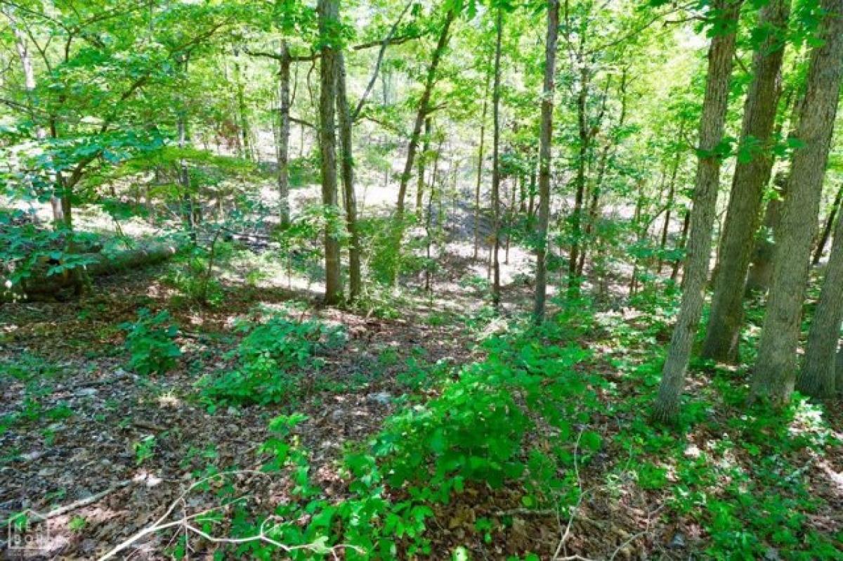 Picture of Residential Land For Sale in Mammoth Spring, Arkansas, United States