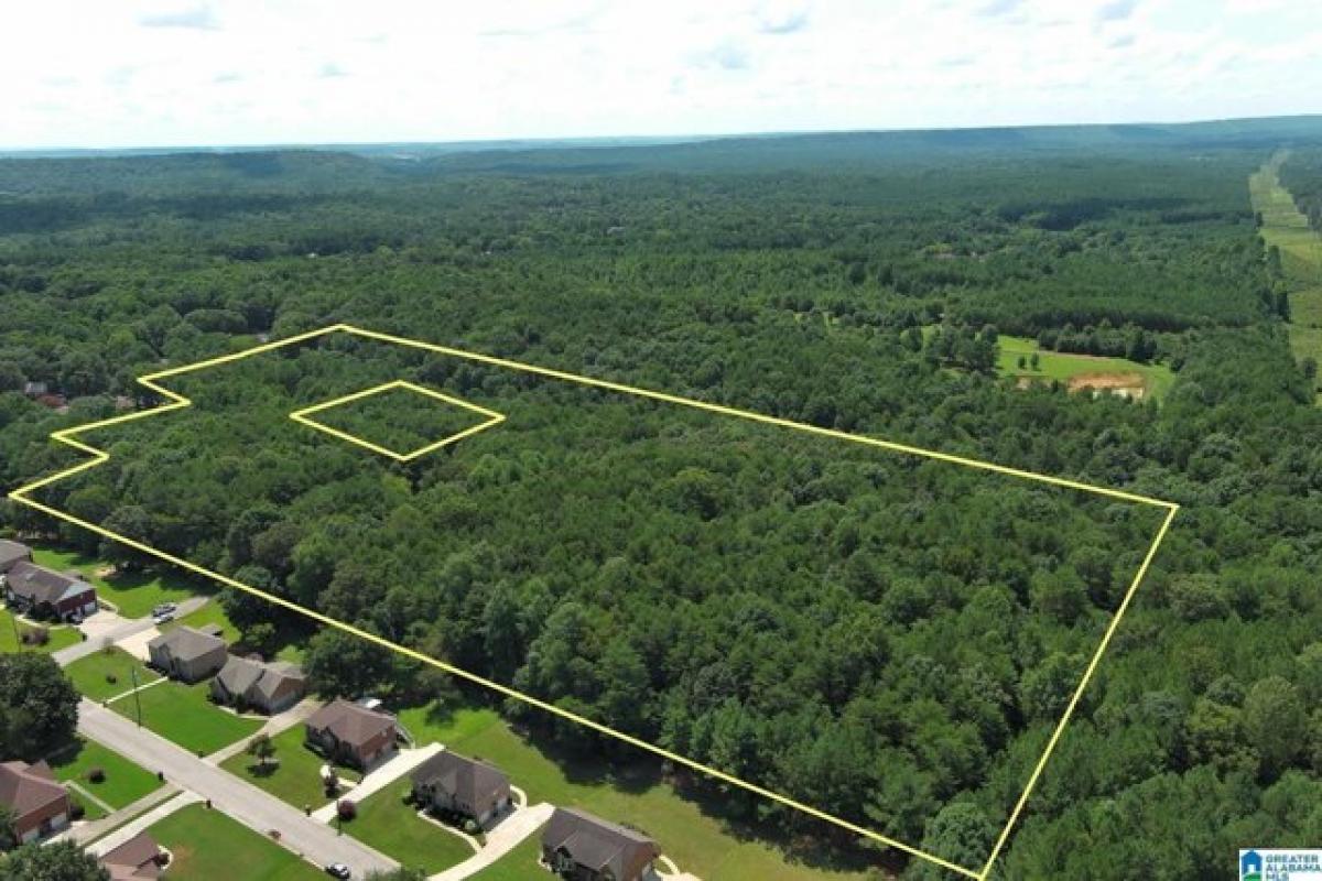 Picture of Residential Land For Sale in Bessemer, Alabama, United States