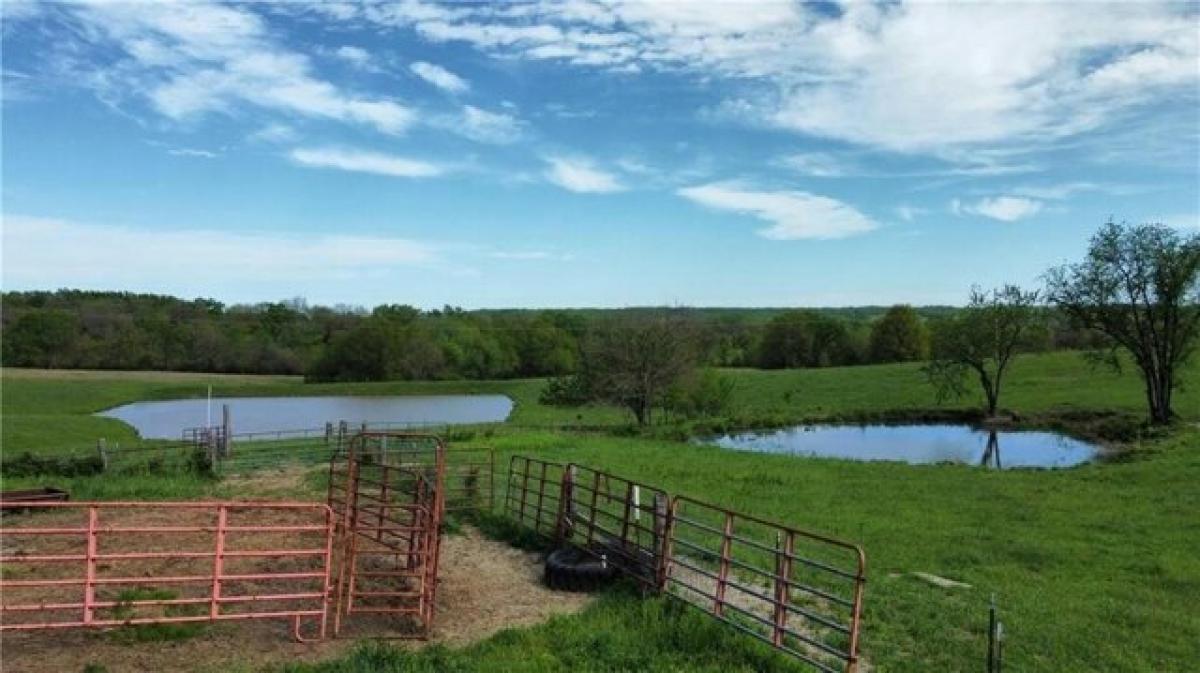 Picture of Residential Land For Sale in Bogard, Missouri, United States