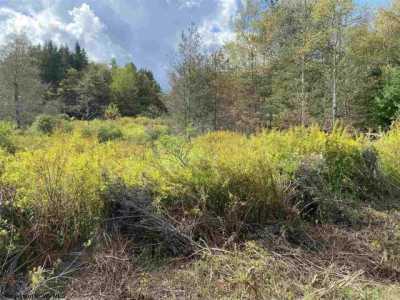 Residential Land For Sale in Davis, West Virginia