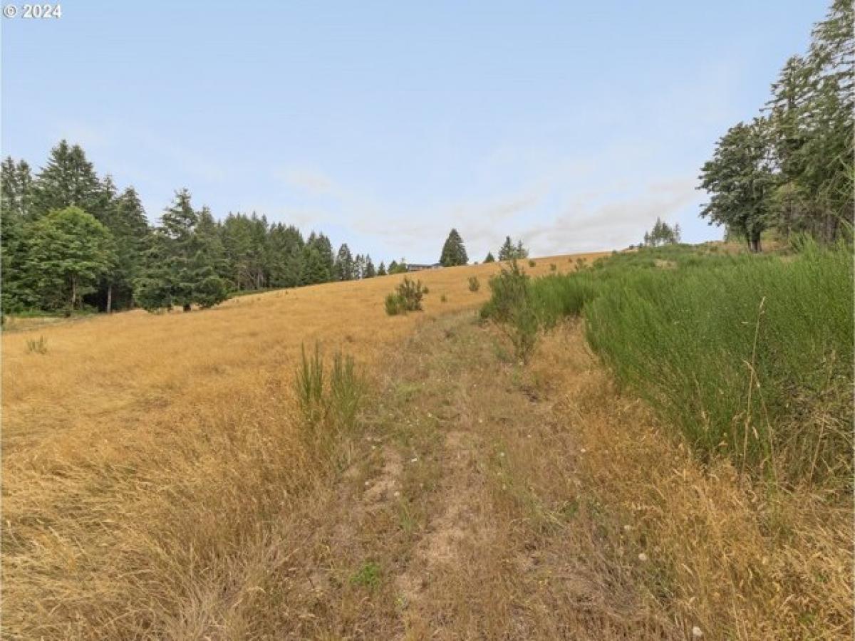 Picture of Residential Land For Sale in Buxton, Oregon, United States