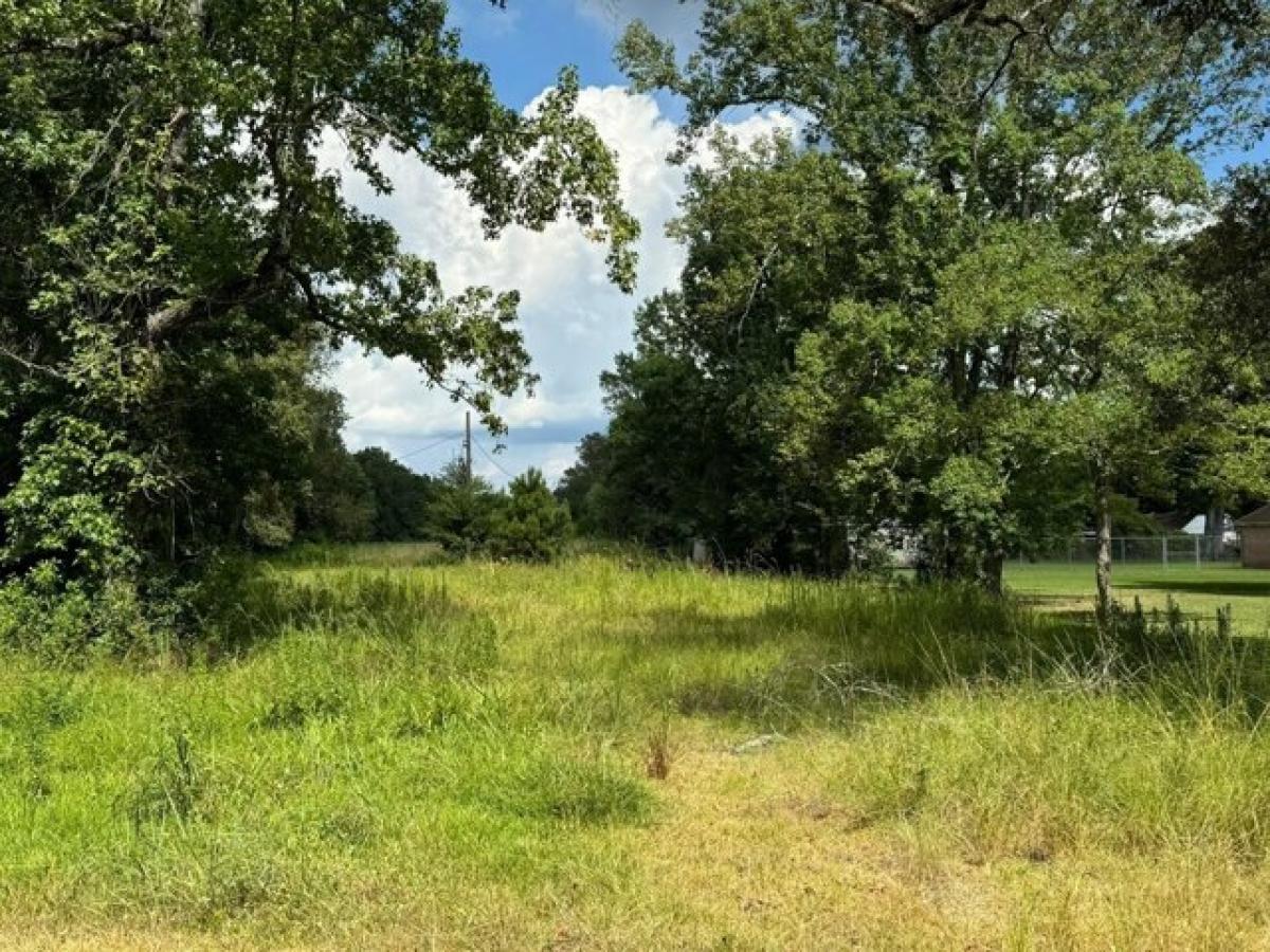 Picture of Residential Land For Sale in Pinehurst, Texas, United States