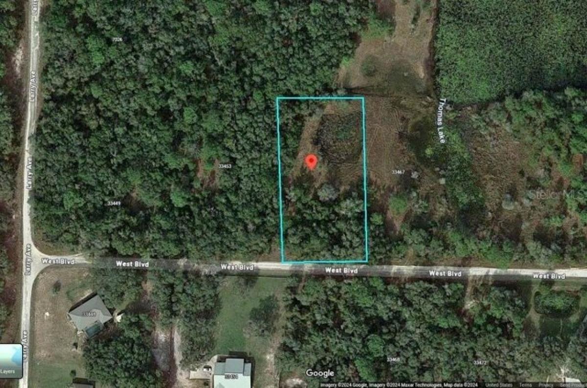 Picture of Residential Land For Sale in Webster, Florida, United States