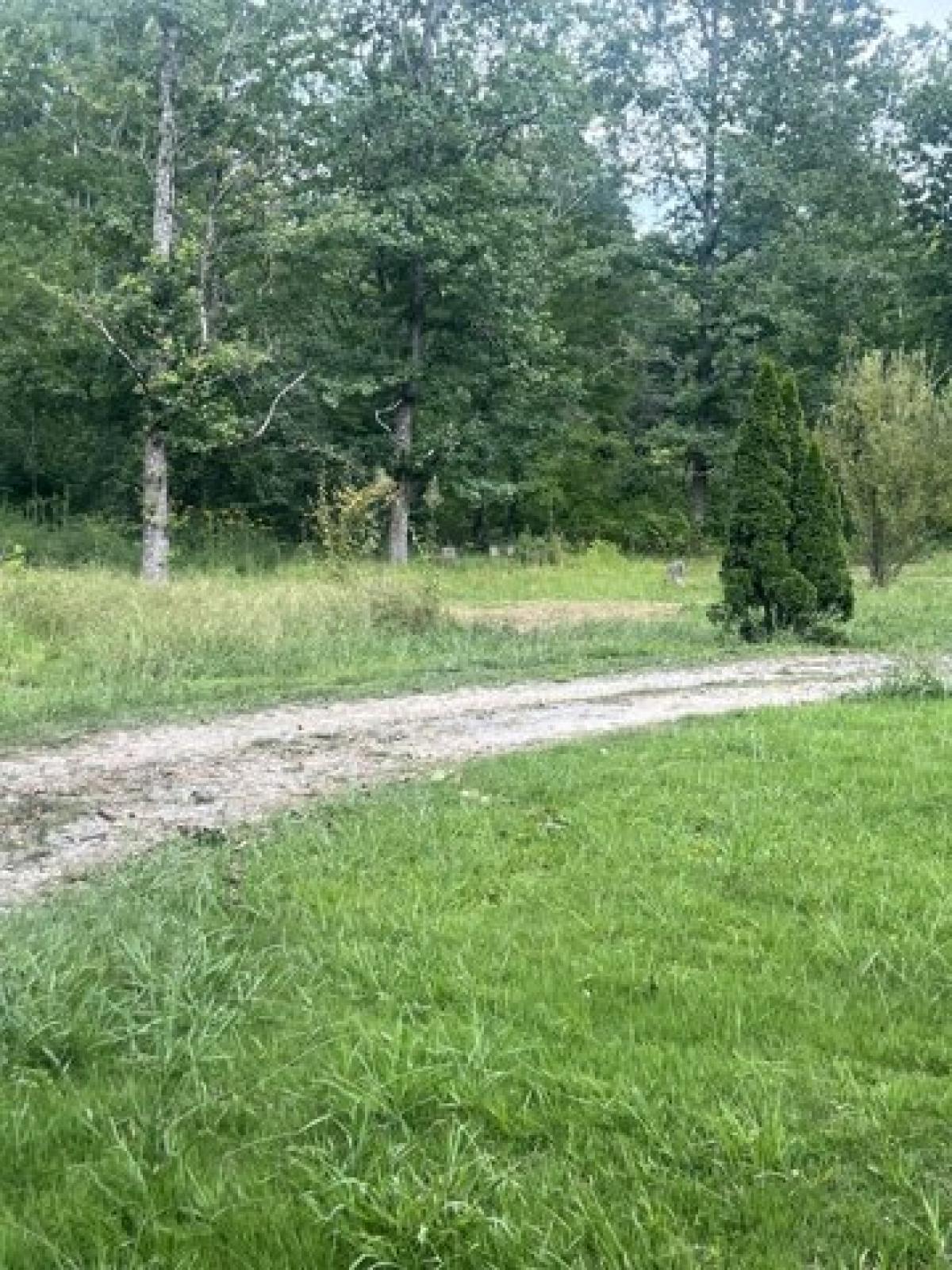 Picture of Residential Land For Sale in Beechgrove, Tennessee, United States