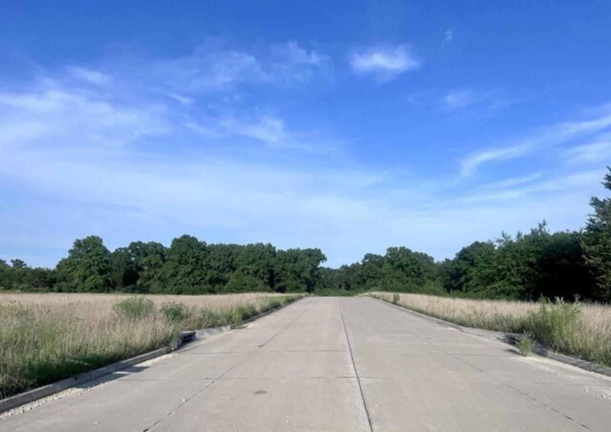 Picture of Residential Land For Sale in Mexico, Missouri, United States