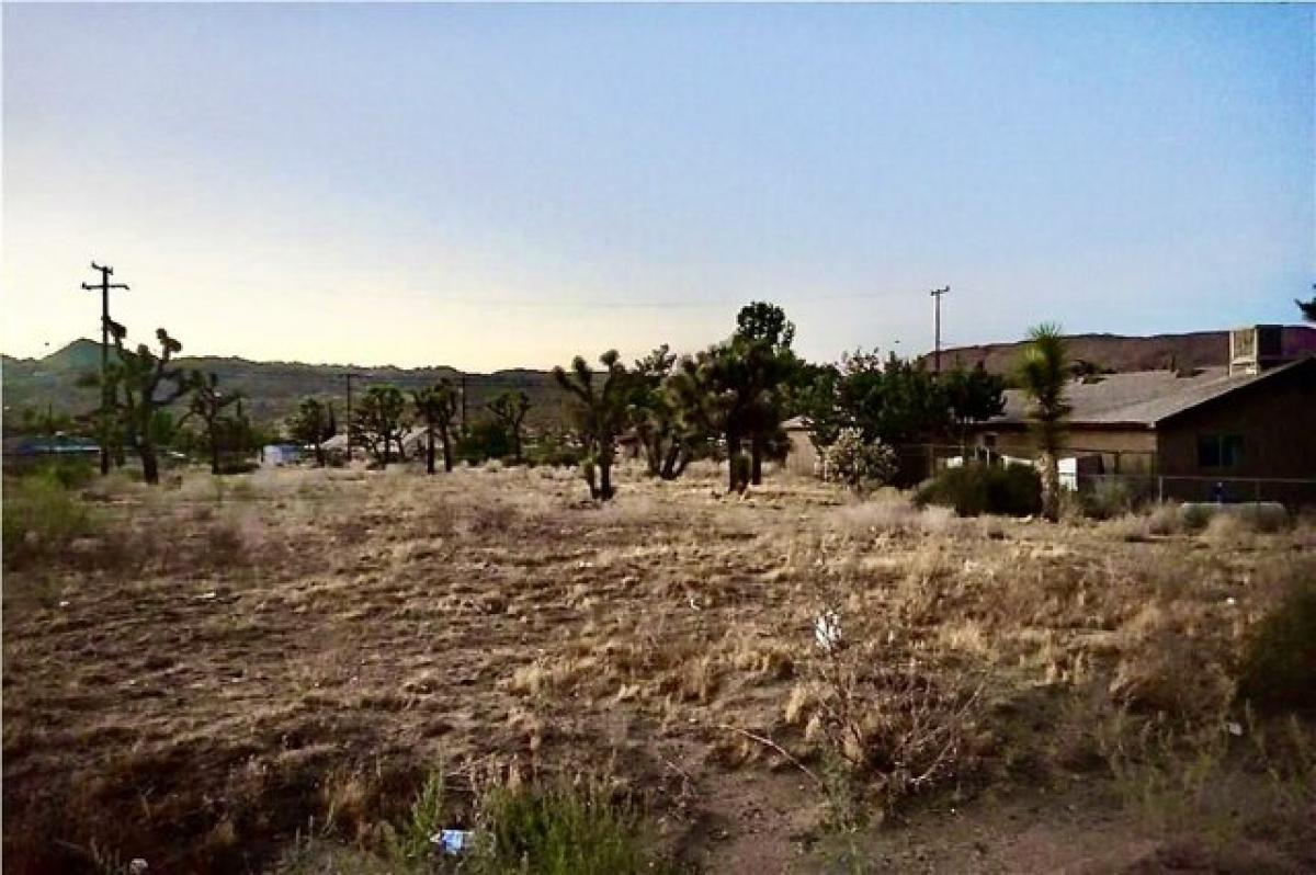 Picture of Residential Land For Sale in Yucca Valley, California, United States