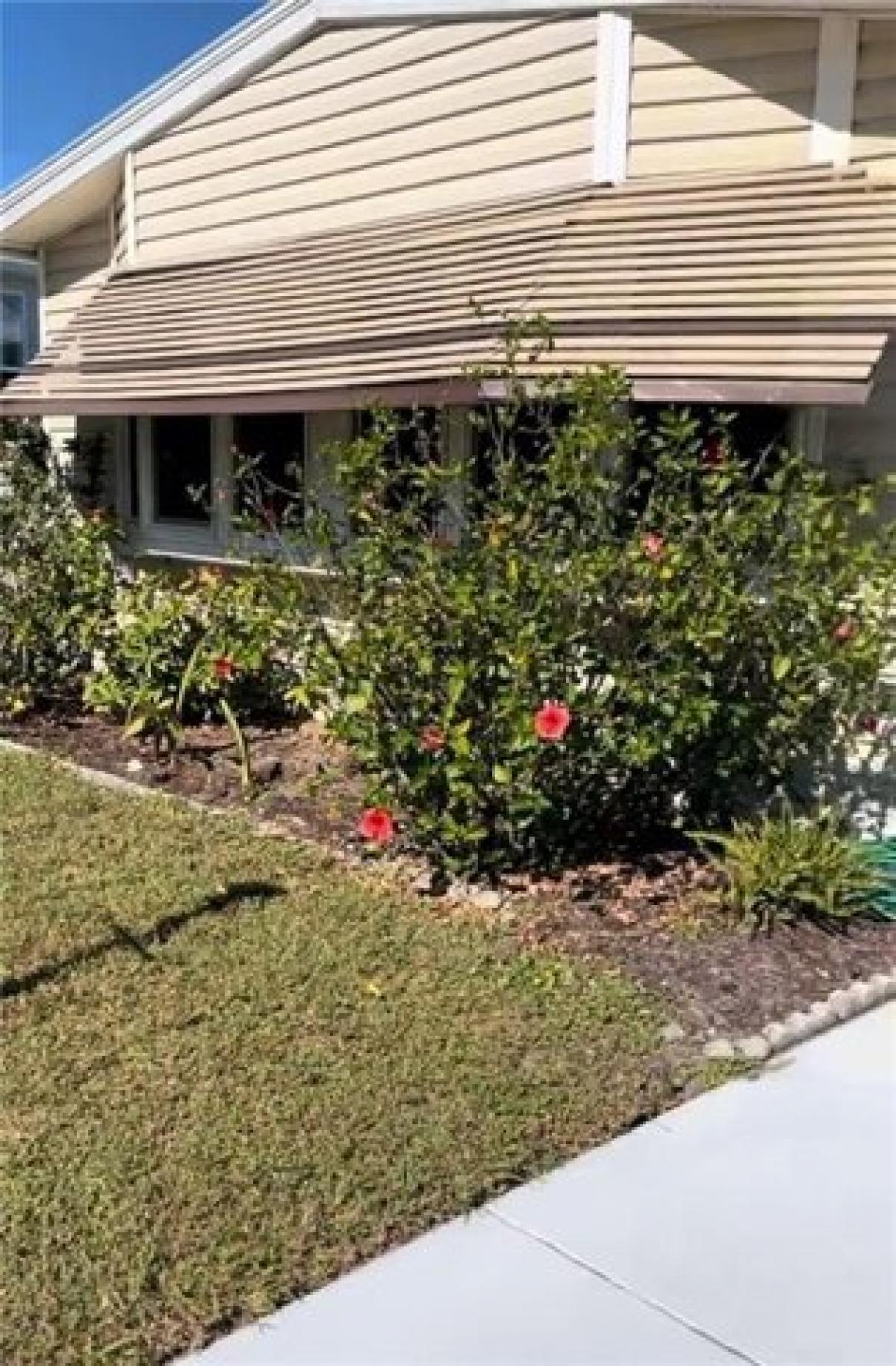 Picture of Home For Rent in Barefoot Bay, Florida, United States