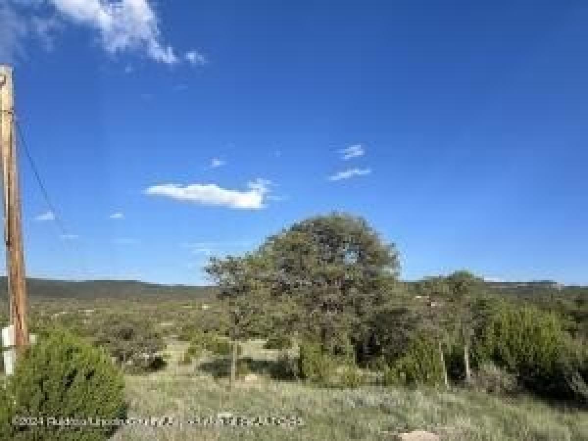 Picture of Residential Land For Sale in Nogal, New Mexico, United States