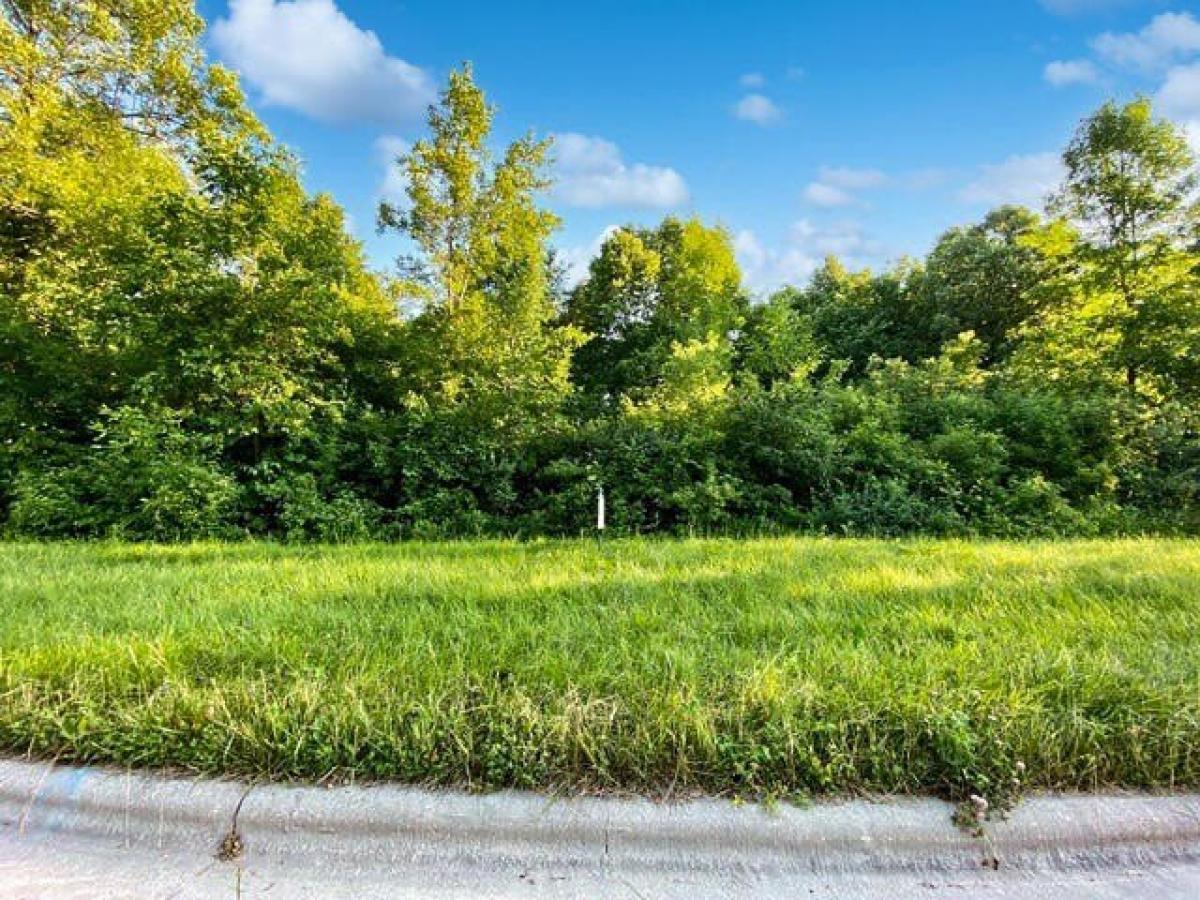 Picture of Residential Land For Sale in New Holstein, Wisconsin, United States