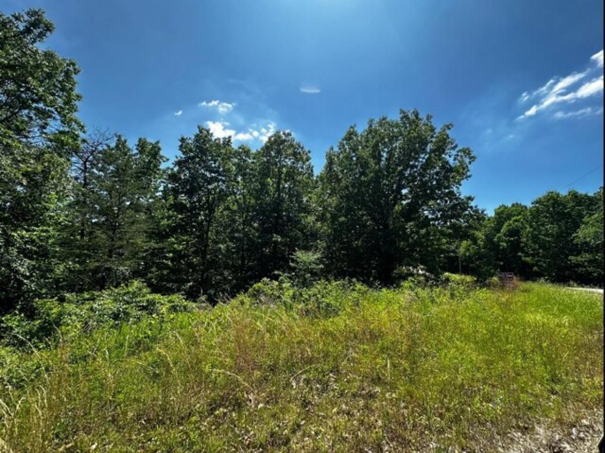 Picture of Residential Land For Sale in Waverly, Tennessee, United States