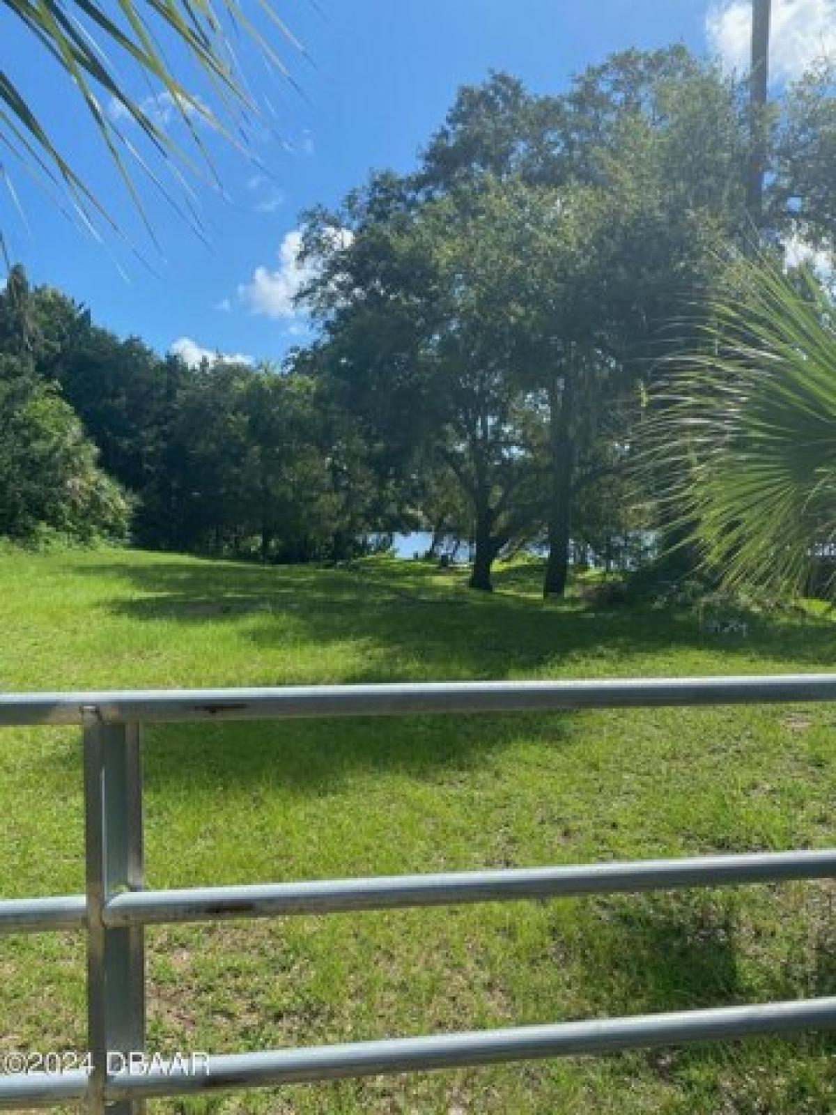 Picture of Residential Land For Sale in Ormond Beach, Florida, United States