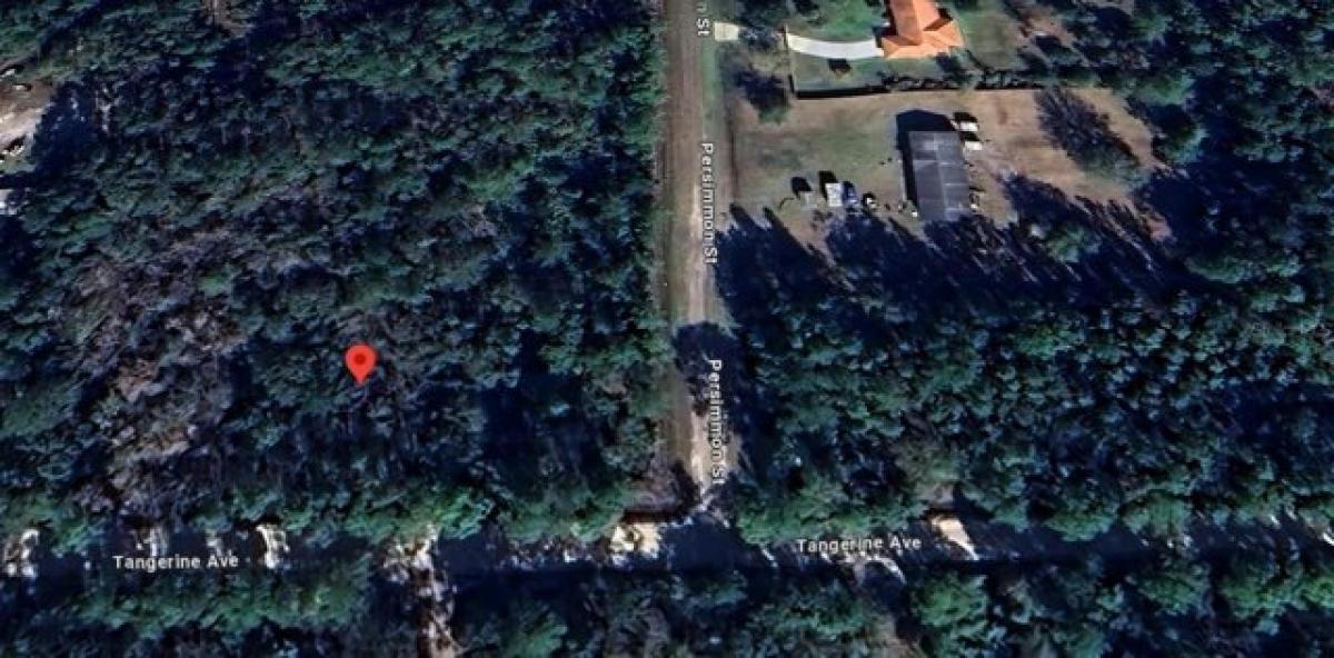 Picture of Residential Land For Sale in Bunnell, Florida, United States