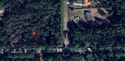 Residential Land For Sale in Bunnell, Florida