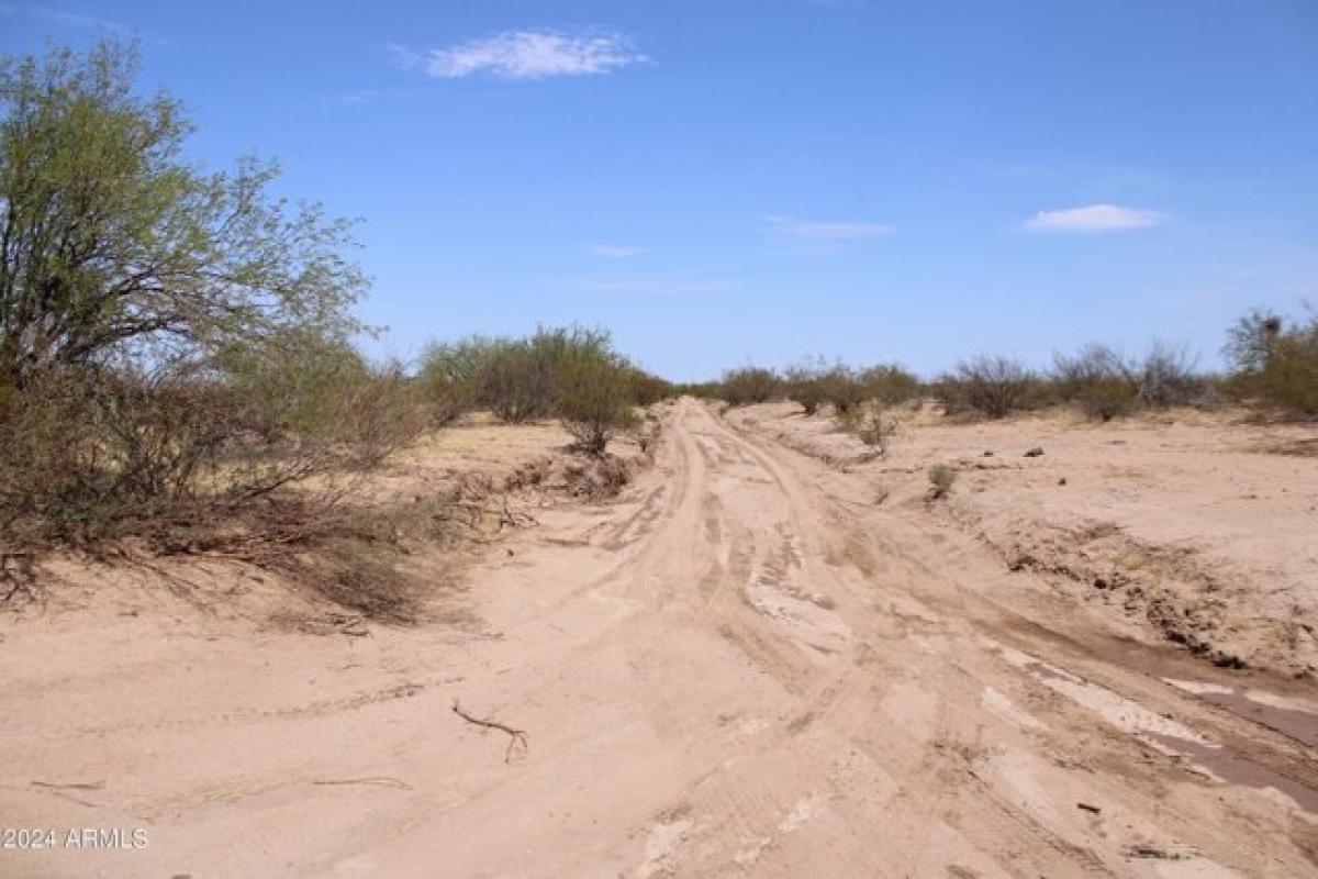 Picture of Residential Land For Sale in Marana, Arizona, United States