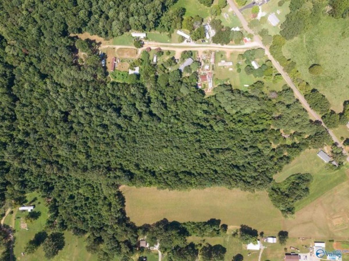 Picture of Residential Land For Sale in New Market, Alabama, United States