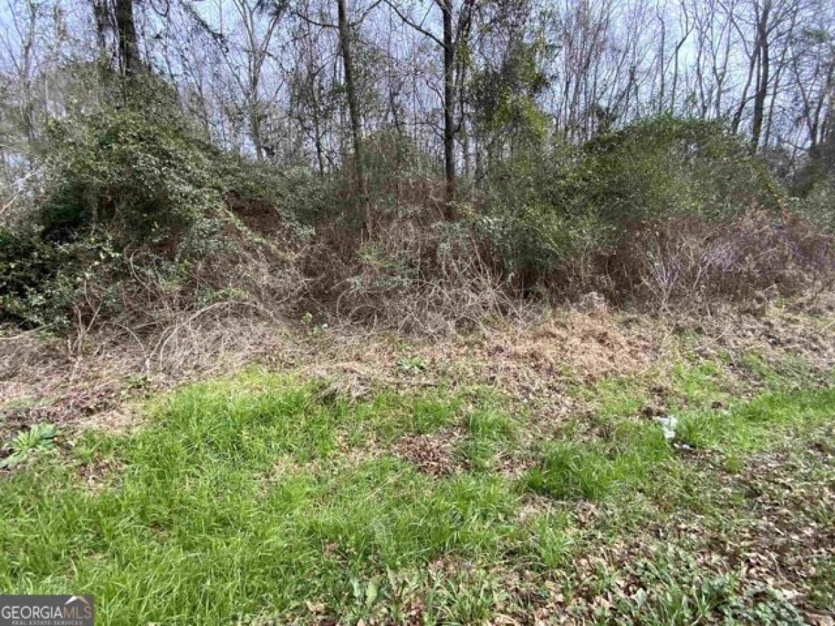 Picture of Residential Land For Sale in Thomaston, Georgia, United States