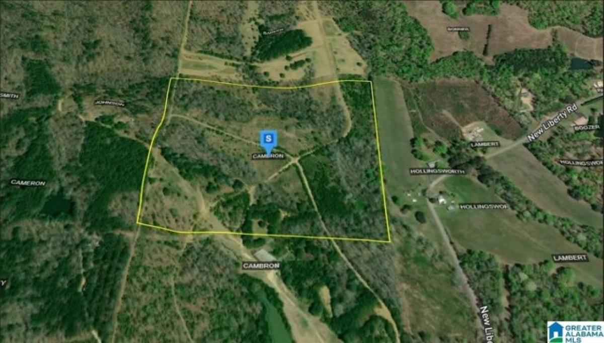 Picture of Residential Land For Sale in Wellington, Alabama, United States