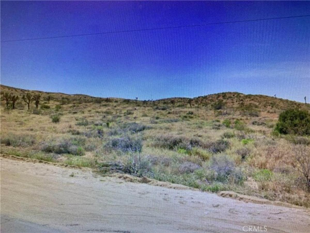 Picture of Residential Land For Sale in Pearblossom, California, United States