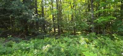 Residential Land For Sale in Rhinelander, Wisconsin