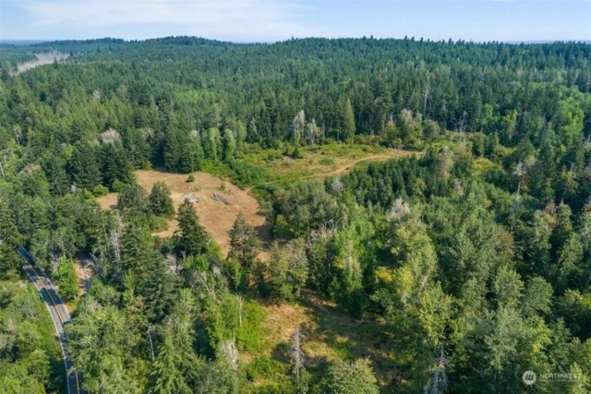 Picture of Residential Land For Sale in Tenino, Washington, United States