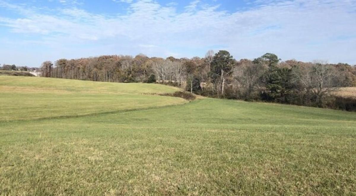 Picture of Residential Land For Sale in London, Kentucky, United States