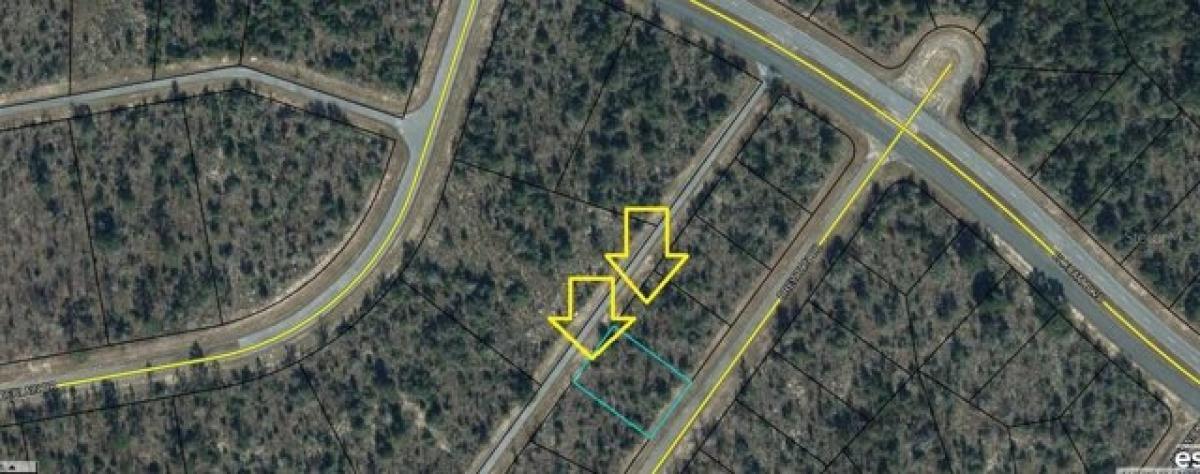 Picture of Residential Land For Rent in Chipley, Florida, United States