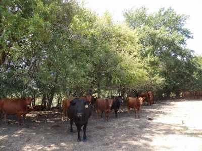 Home For Sale in Coleman, Oklahoma