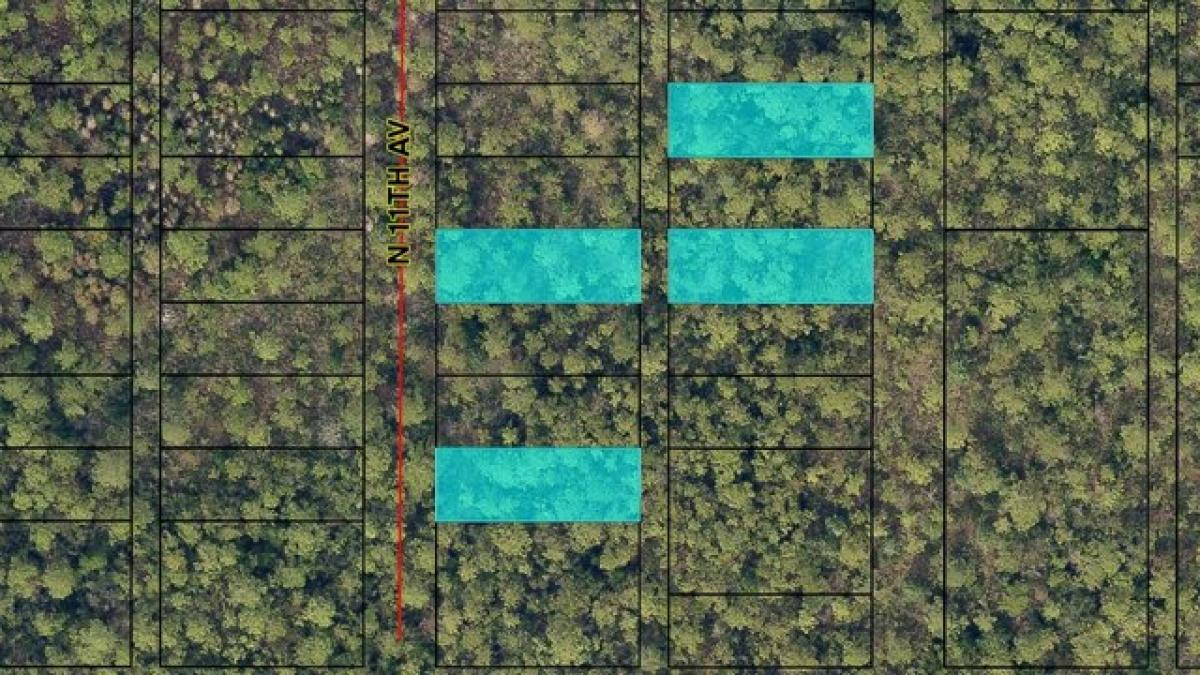 Picture of Residential Land For Sale in Milton, Florida, United States