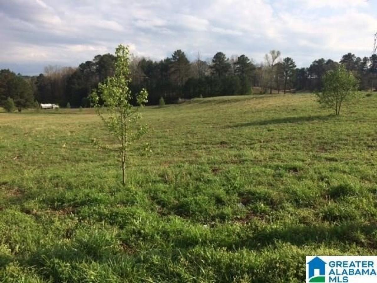 Picture of Residential Land For Sale in Bessemer, Alabama, United States