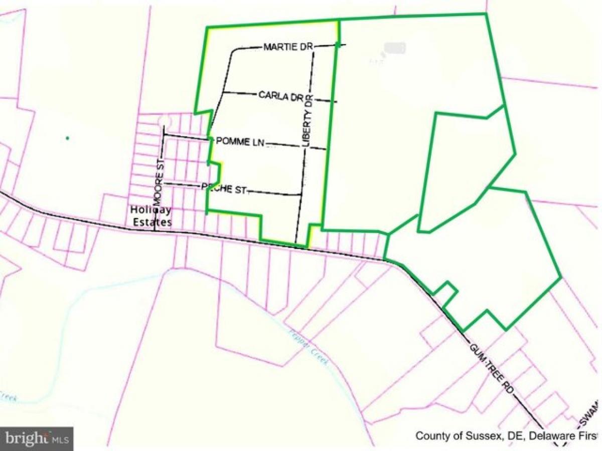 Picture of Residential Land For Sale in Dagsboro, Delaware, United States