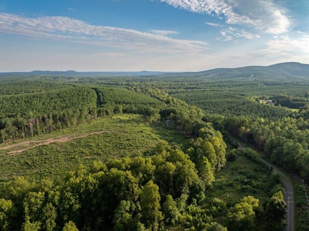 Picture of Residential Land For Sale in Wingina, Virginia, United States