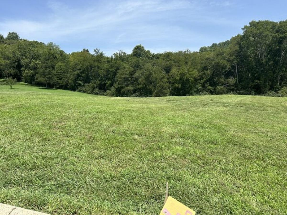 Picture of Residential Land For Sale in Normandy, Tennessee, United States