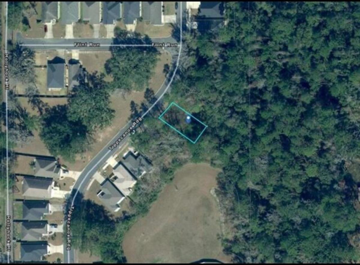 Picture of Residential Land For Sale in Tallahassee, Florida, United States