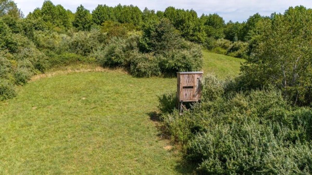 Picture of Home For Sale in Lawrenceburg, Tennessee, United States