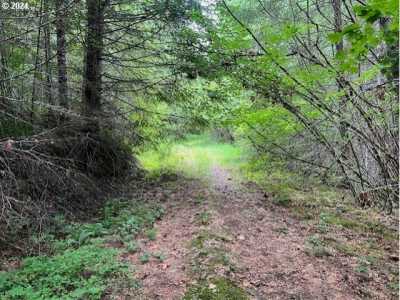 Residential Land For Sale in Vernonia, Oregon