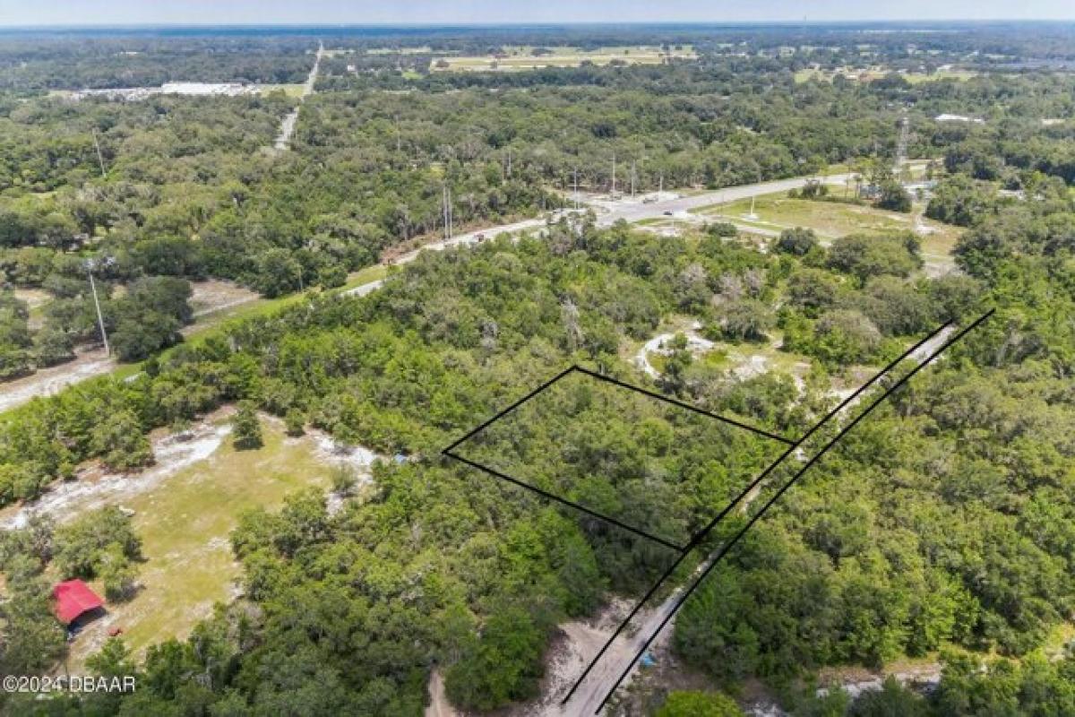 Picture of Residential Land For Sale in De Leon Springs, Florida, United States