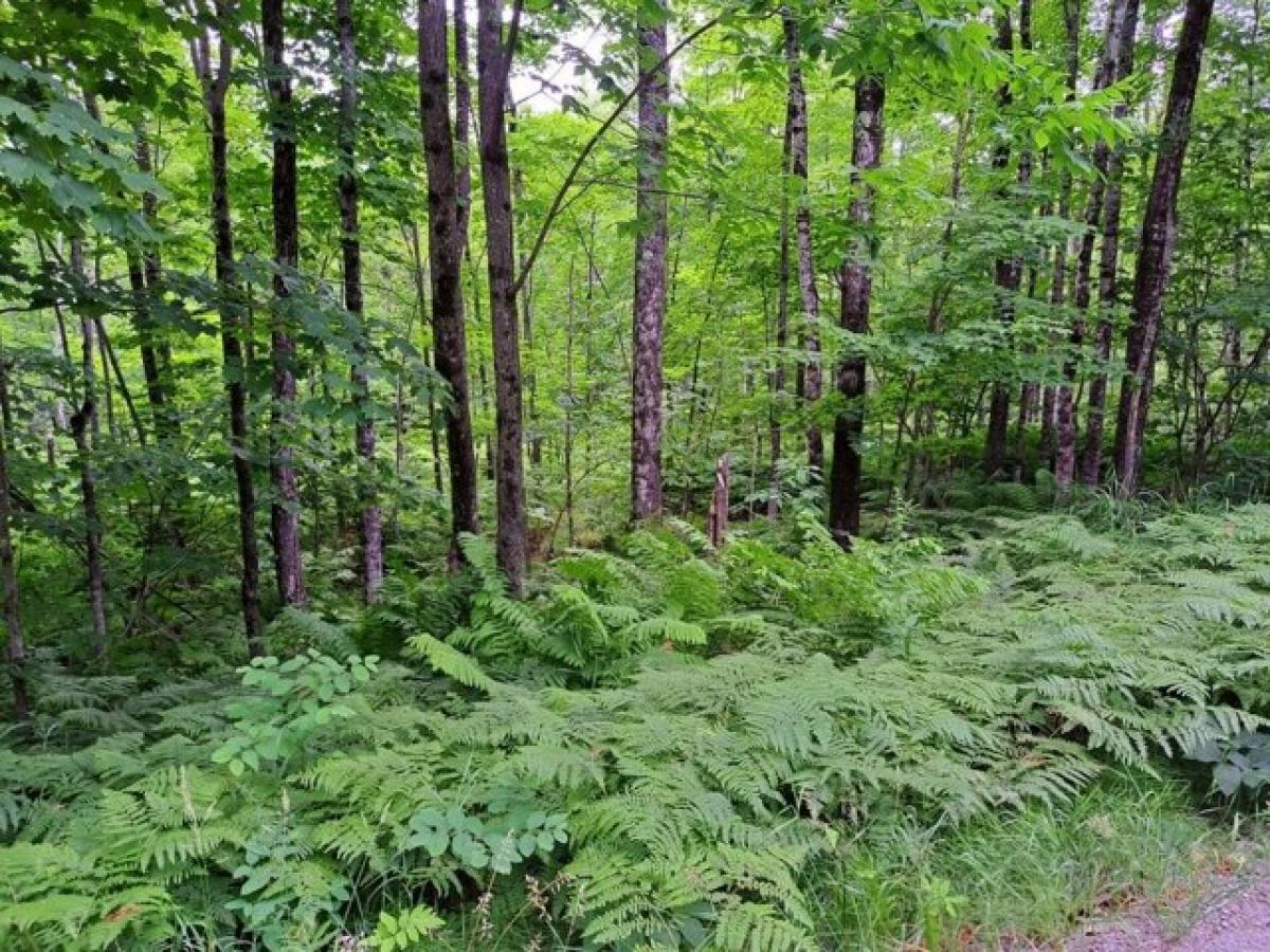 Picture of Residential Land For Sale in New Vineyard, Maine, United States