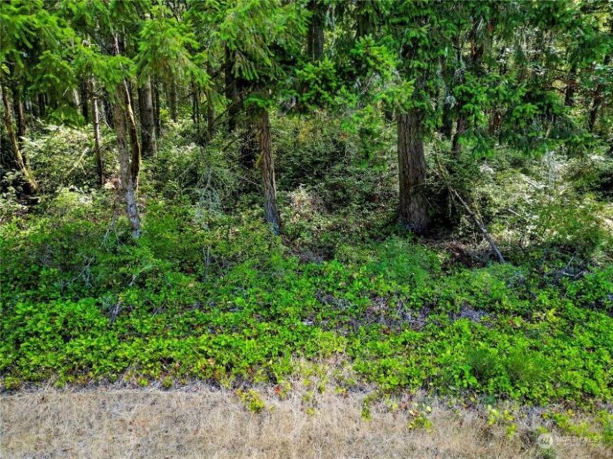 Picture of Residential Land For Sale in Anderson Island, Washington, United States