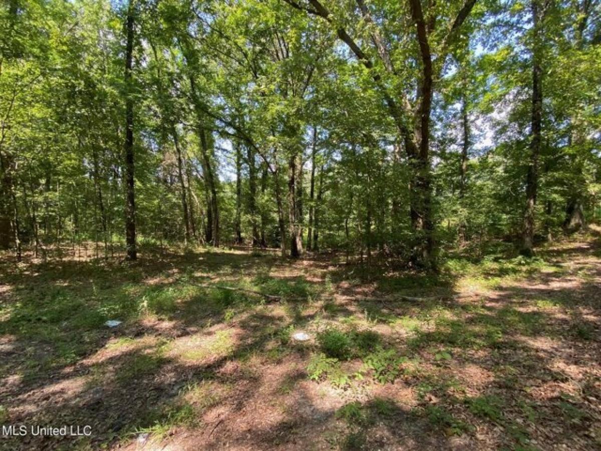 Picture of Residential Land For Sale in Walls, Mississippi, United States