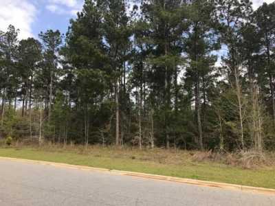 Residential Land For Sale in Albany, Georgia