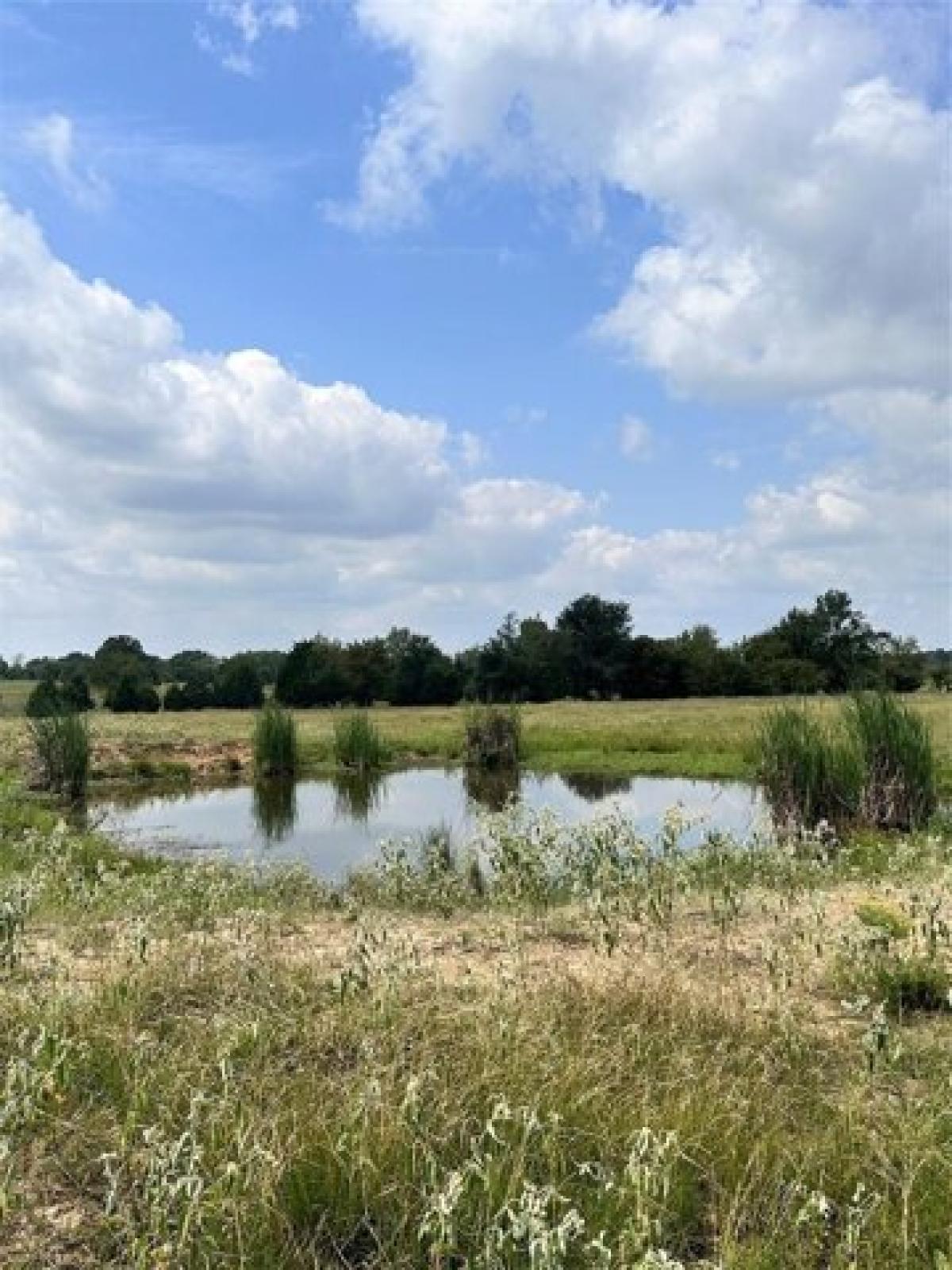 Picture of Residential Land For Sale in Mabank, Texas, United States