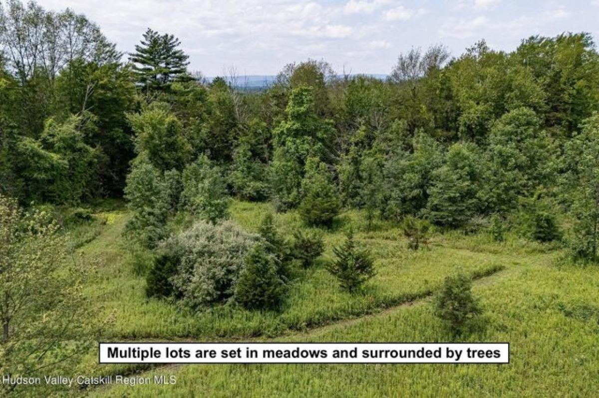 Picture of Residential Land For Sale in Accord, New York, United States