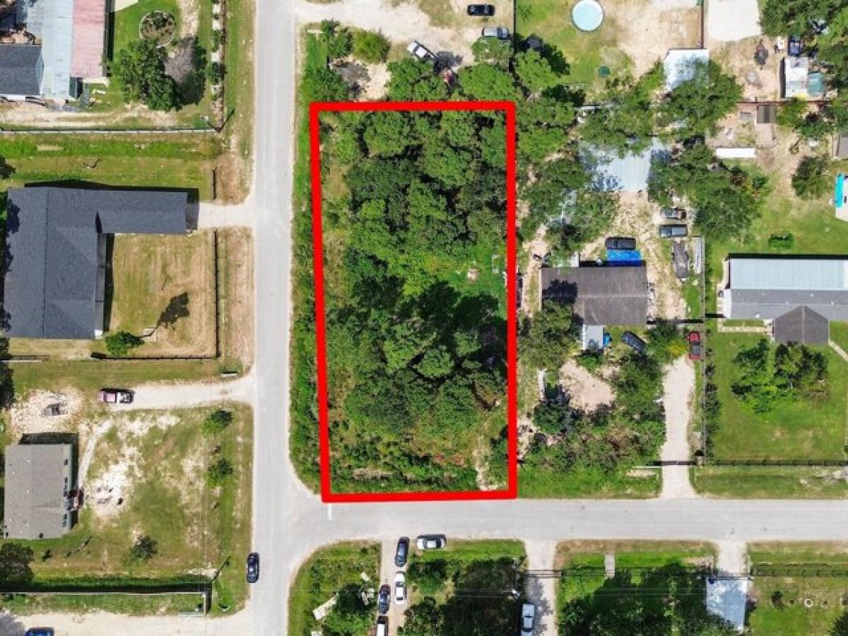 Picture of Residential Land For Sale in New Caney, Texas, United States